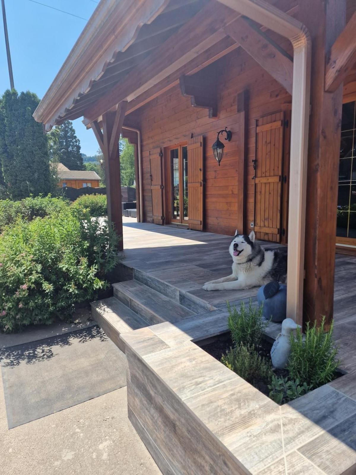 Chalet Matteo Ban-de-Laveline Exterior photo